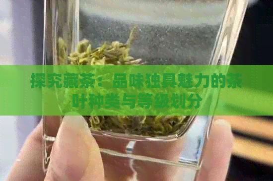 探究藏茶：品味独具魅力的茶叶种类与等级划分