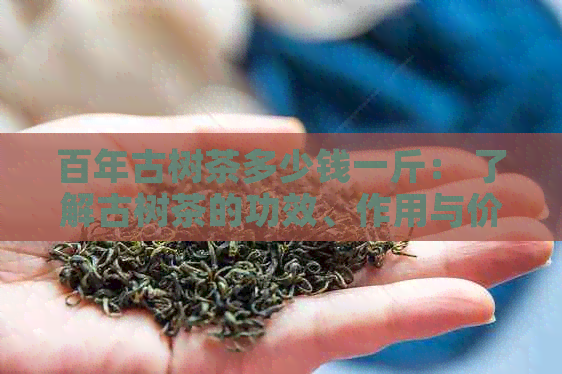 百年古树茶多少钱一斤： 了解古树茶的功效、作用与价值