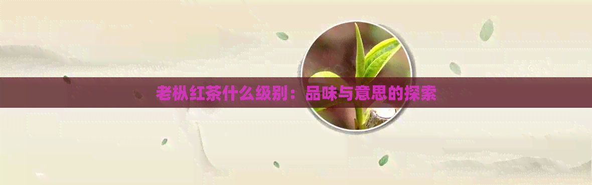 老枞红茶什么级别：品味与意思的探索