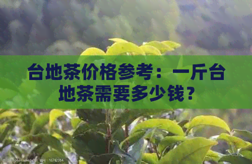 台地茶价格参考：一斤台地茶需要多少钱？