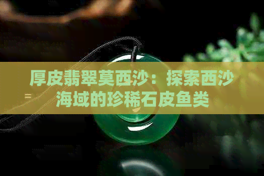 厚皮翡翠莫西沙：探索西沙海域的珍稀石皮鱼类