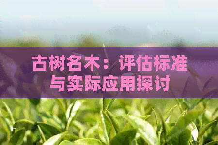 古树名木：评估标准与实际应用探讨