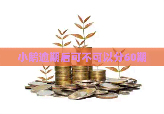 小鹅逾期后可不可以分60期