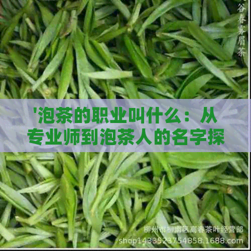 '泡茶的职业叫什么：从专业师到泡茶人的名字探索'