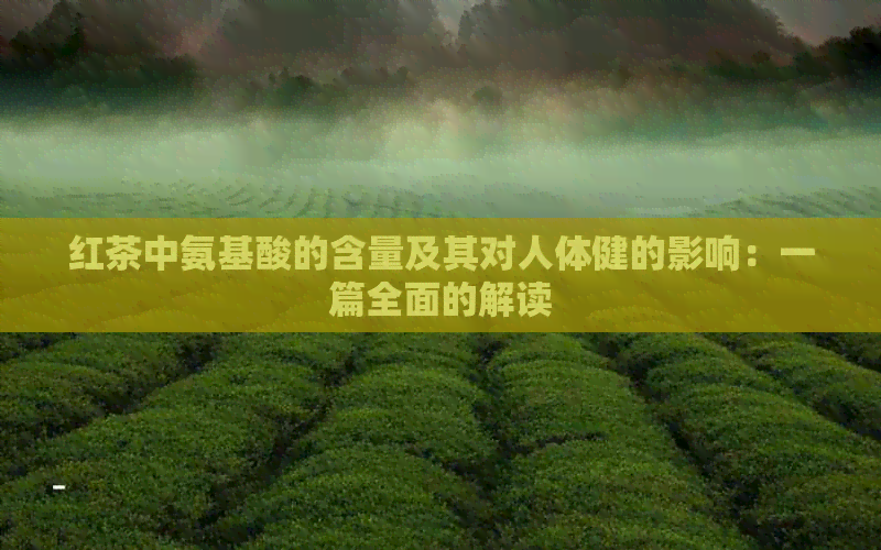 红茶中氨基酸的含量及其对人体健的影响：一篇全面的解读