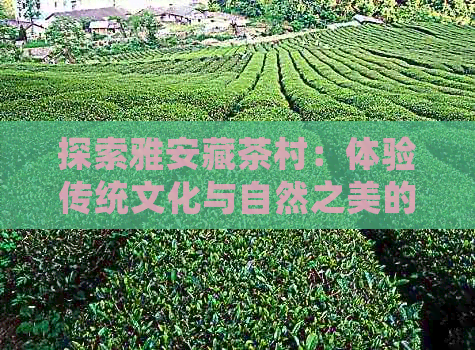 探索雅安藏茶村：体验传统文化与自然之美的难忘之旅