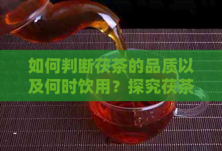 如何判断茯茶的品质以及何时饮用？探究茯茶的年份和口感