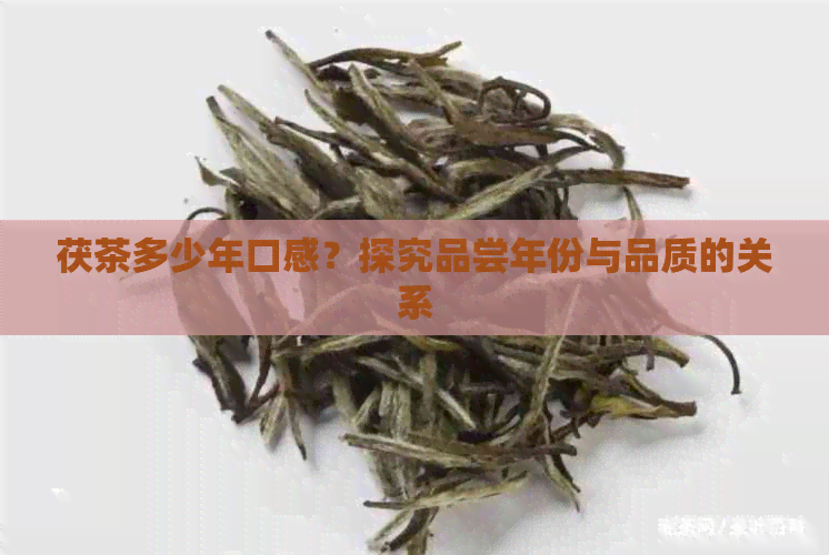 茯茶多少年口感？探究品尝年份与品质的关系