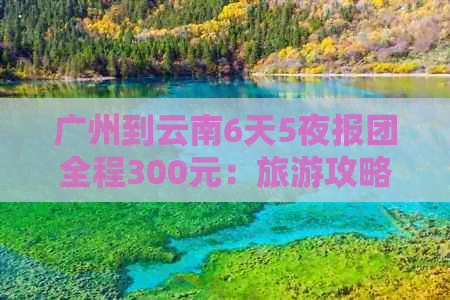 广州到云南6天5夜报团全程300元：旅游攻略、花费及路线详解