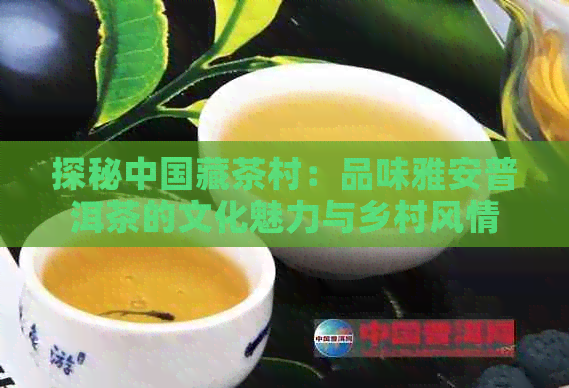 探秘中国藏茶村：品味雅安普洱茶的文化魅力与乡村风情