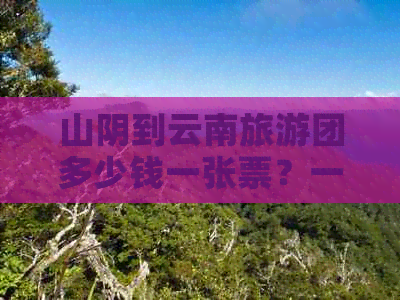 山阴到云南旅游团多少钱一张票？一天的费用是多少？