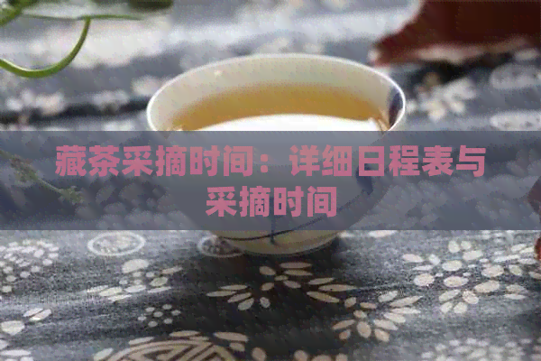 藏茶采摘时间：详细日程表与采摘时间