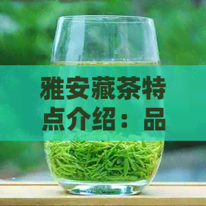 雅安藏茶特点介绍：品质特征与独特魅力