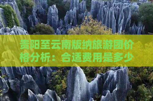 贵阳至云南版纳旅游团价格分析：合适费用是多少？