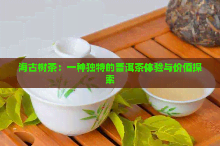 海古树茶：一种独特的普洱茶体验与价值探索