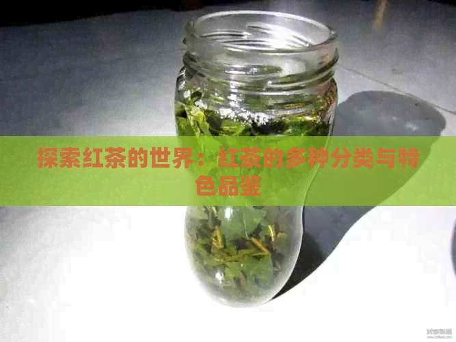 探索红茶的世界：红茶的多种分类与特色品鉴