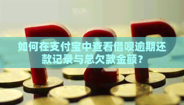 如何在支付宝中查看借呗逾期还款记录与总欠款金额？