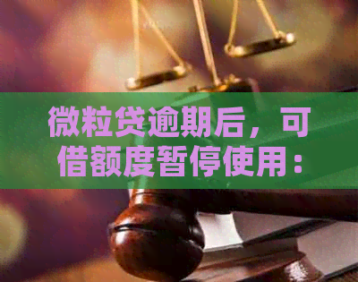 微粒贷逾期后，可借额度暂停使用：原因与解决方法