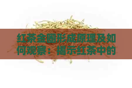 红茶金圈形成原理及如何观察：揭示红茶中的独特美感