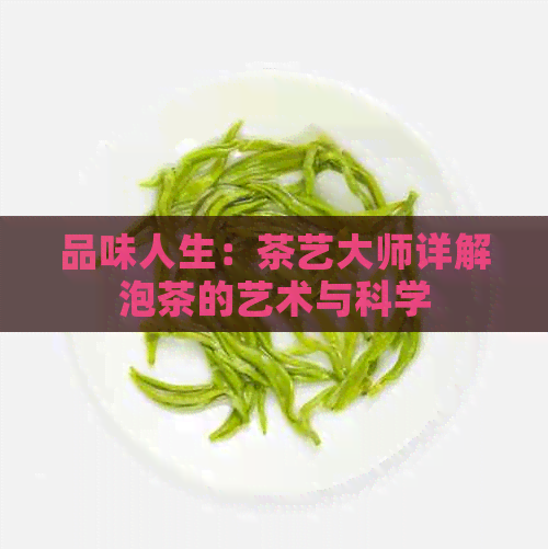 品味人生：茶艺大师详解泡茶的艺术与科学