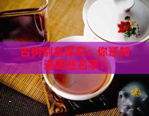 古树别名探究：你还知道哪些名字？