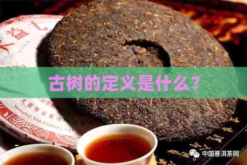 古树的定义是什么？