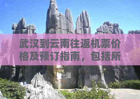 武汉到云南往返机票价格及预订指南，包括所有可能的转机选项和费用明细