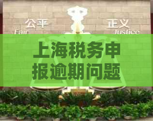 上海税务申报逾期问题全面解决指南：原因、影响及应对措一文解析