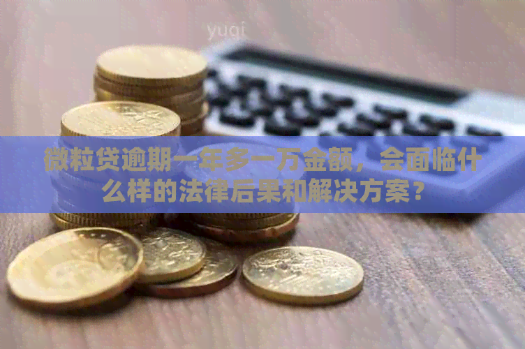 微粒贷逾期一年多一万金额，会面临什么样的法律后果和解决方案？