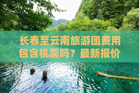 长春至云南旅游团费用包含机票吗？最新报价及详细行程全面解析