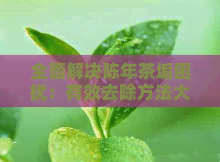 全面解决陈年茶垢困扰：有效去除方法大揭秘！