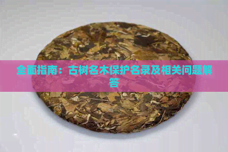 全面指南：古树名木保护名录及相关问题解答