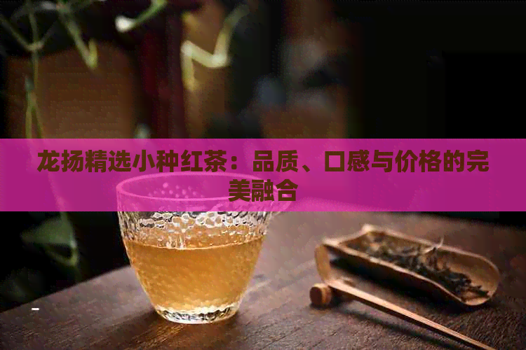 龙扬精选小种红茶：品质、口感与价格的完美融合