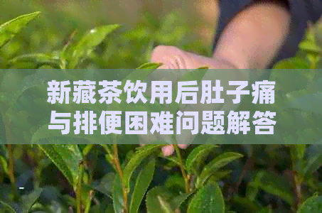 新藏茶饮用后肚子痛与排便困难问题解答，探究可能原因及相关建议