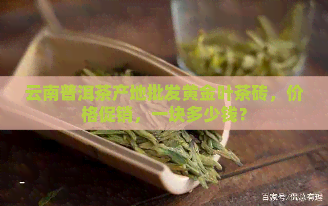 云南普洱茶产地批发黄金叶茶砖，价格促销，一块多少钱？