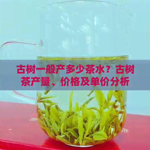 古树一般产多少茶水？古树茶产量、价格及单价分析