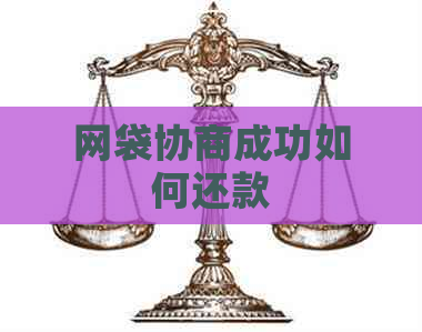 网袋协商成功如何还款