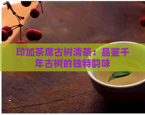 印加茶席古树清茶：品鉴千年古树的独特韵味