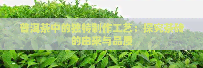 普洱茶中的独特制作工艺：探究茶砖的由来与品质