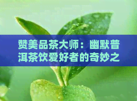 赞美品茶大师：幽默普洱茶饮爱好者的奇妙之处