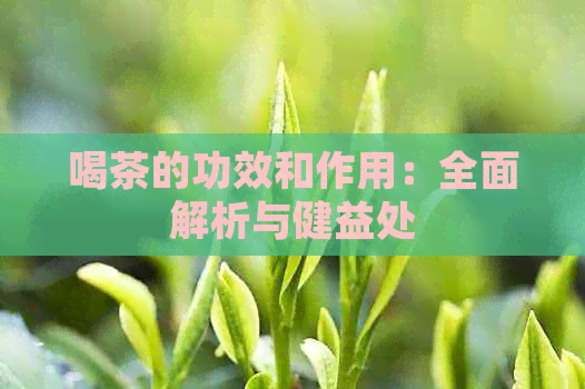 喝茶的功效和作用：全面解析与健益处