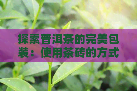 探索普洱茶的完美包装：使用茶砖的方式和保存技巧