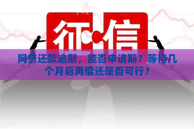 网贷还款逾期，能否申请期？等待几个月后再偿还是否可行？