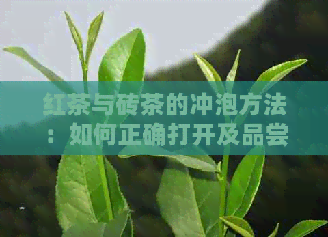 红茶与砖茶的冲泡方法：如何正确打开及品尝？