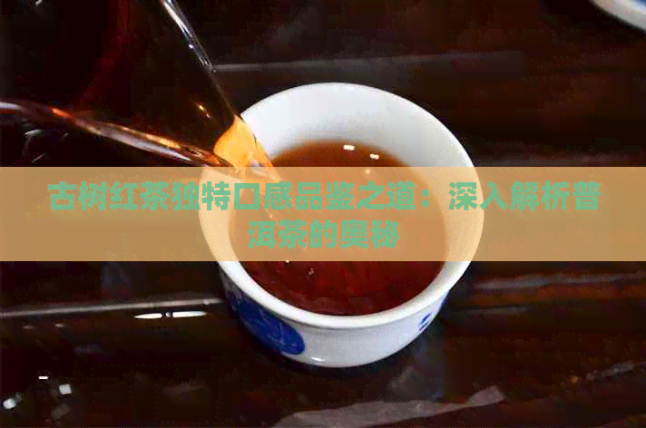 古树红茶独特口感品鉴之道：深入解析普洱茶的奥秘