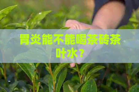 胃炎能不能喝茶砖茶叶水？