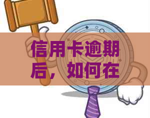 信用卡逾期后，如何在建设银行办理蓄卡？需要多少钱？