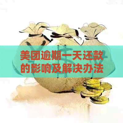 美团逾期一天还款的影响及解决办法：贷款和使用是否会受到持续影响？