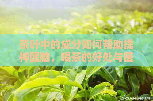 茶叶中的成分如何帮助提神醒脑，喝茶的好处与医生建议一览