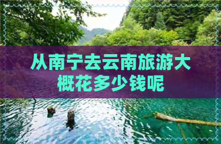 从南宁去云南旅游大概花多少钱呢